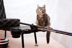 Универсальная чашка