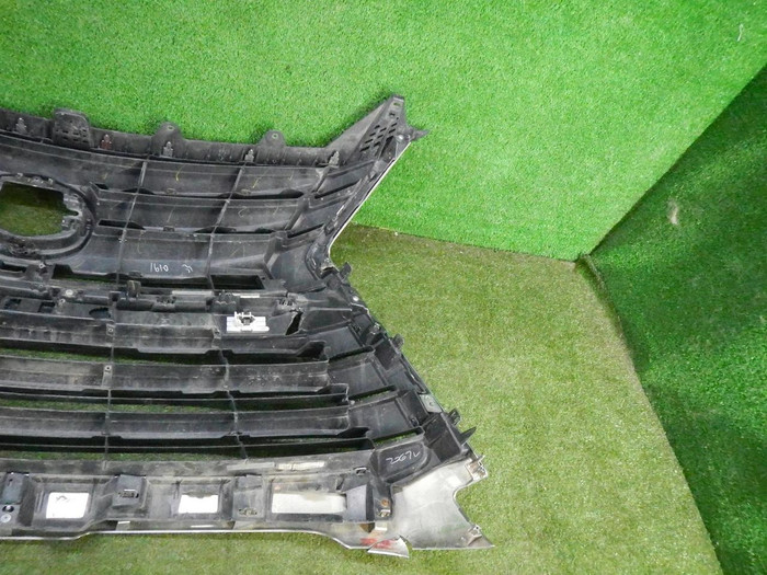 DSCN0248.JPG