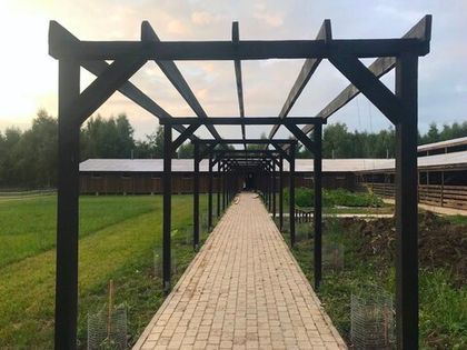 Приглашаем посетить «Романовскую ферму»