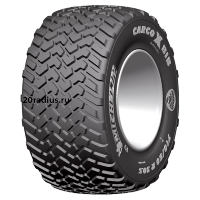 600/60R30,5 169D CargoXbib TL