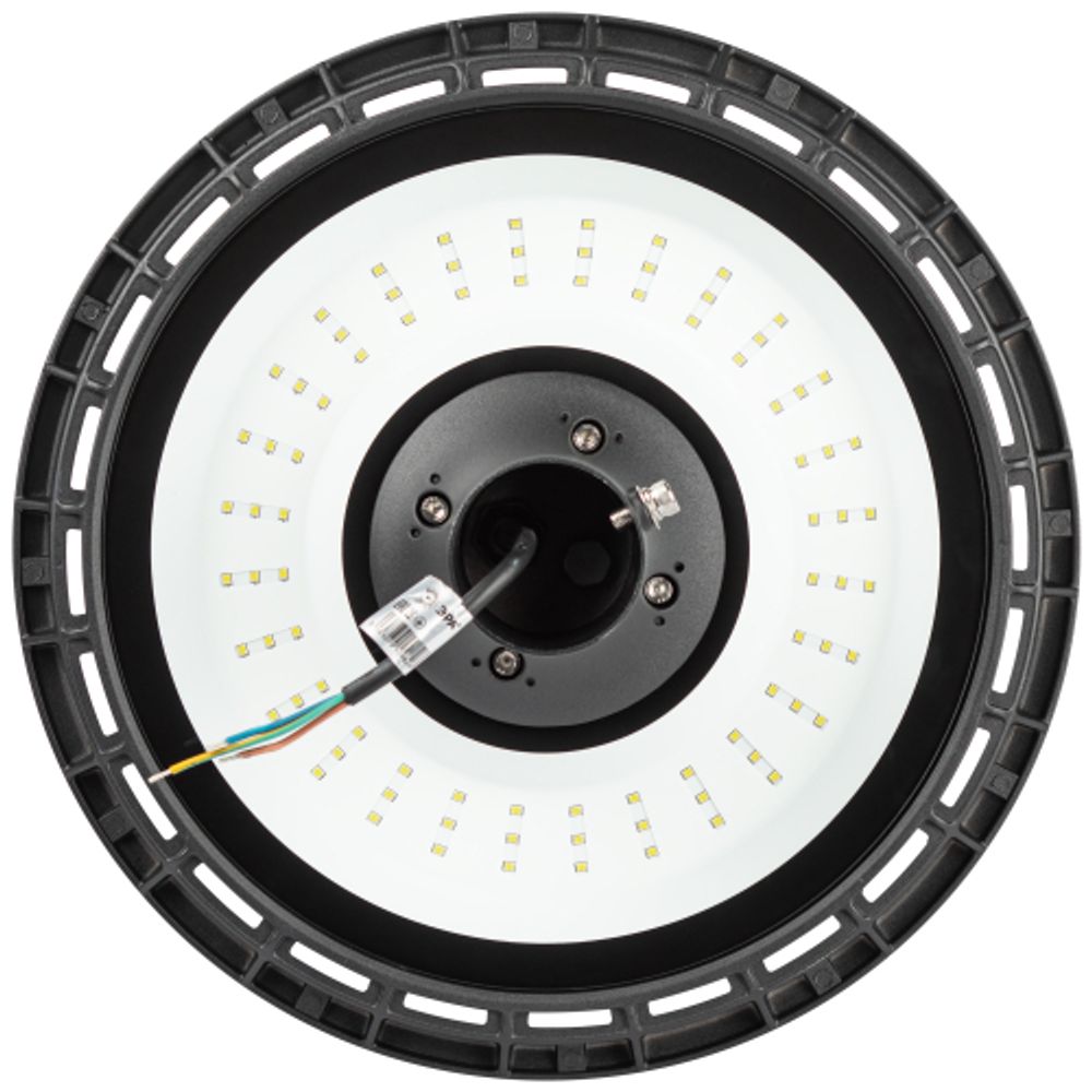 Светильник светодиодный садово-парковый ЭРА SPP-506-0-50K-060 60Вт 5000K IP65 черный | Садово-парковые светильники