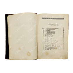 Авенариус В. П. Отроческие годы Пушкина. — СПб. Типография Н. А. Лебедева, 1891