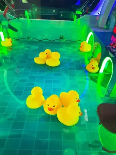 Игровой автомат водный тир «Утиные сражения»