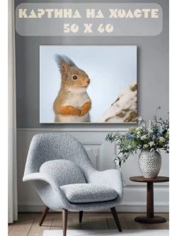 Картина на стену 40 X 50 Белка