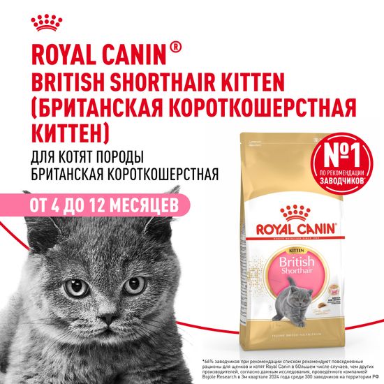 Royal Canin Kitten British Shorthair для Британских котят Royal Canin Kitten British Shorthair для Британских котят