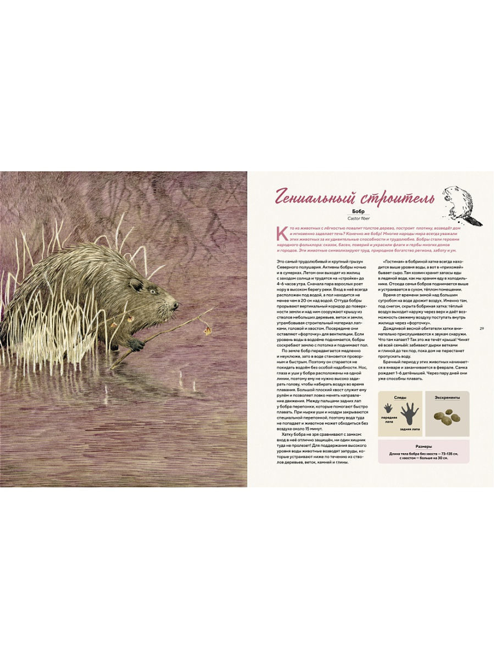 Наши соседи по планете. Рассказы о диких животных