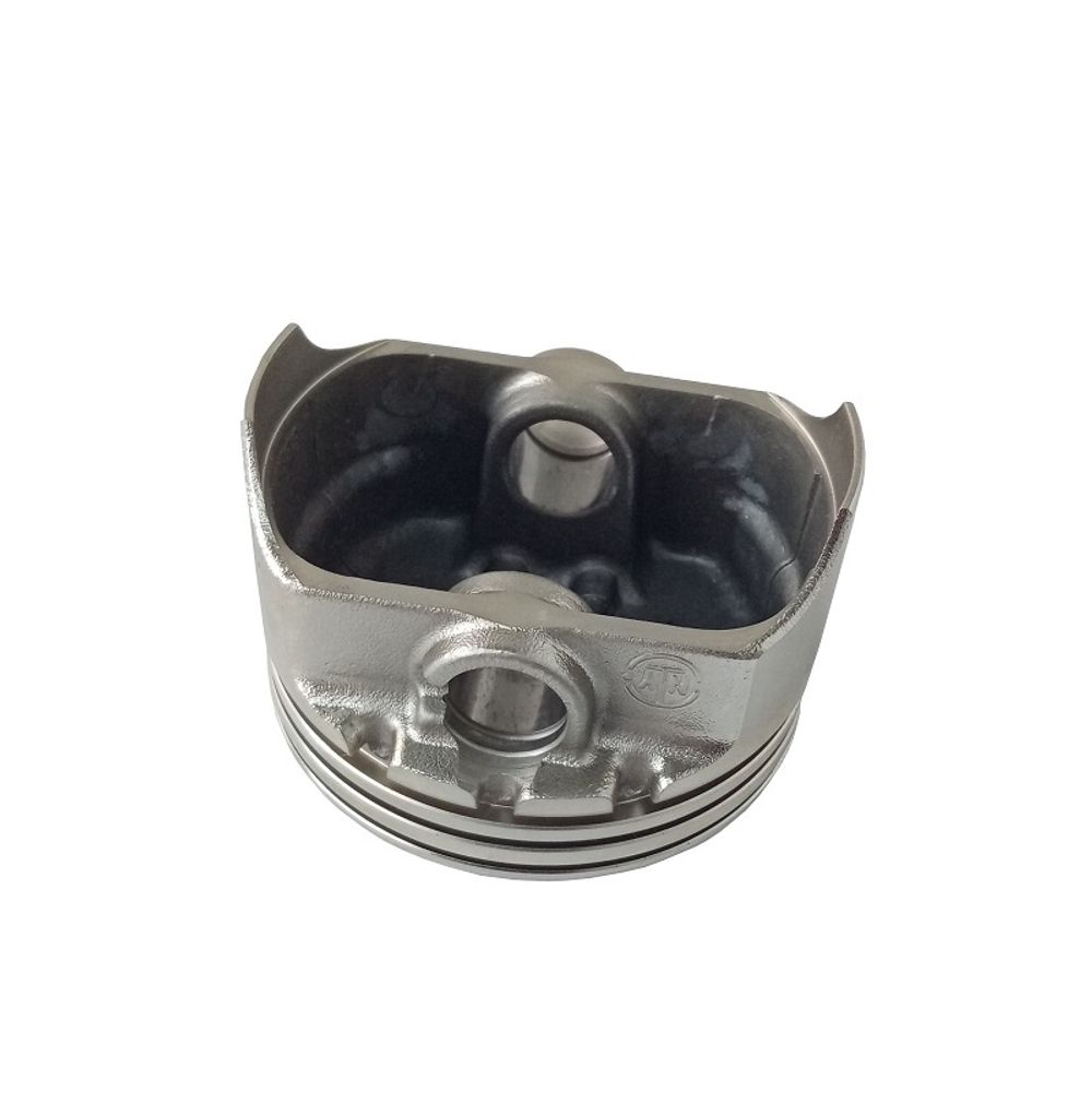 Поршень LC1P65FE-2/130030303-0001