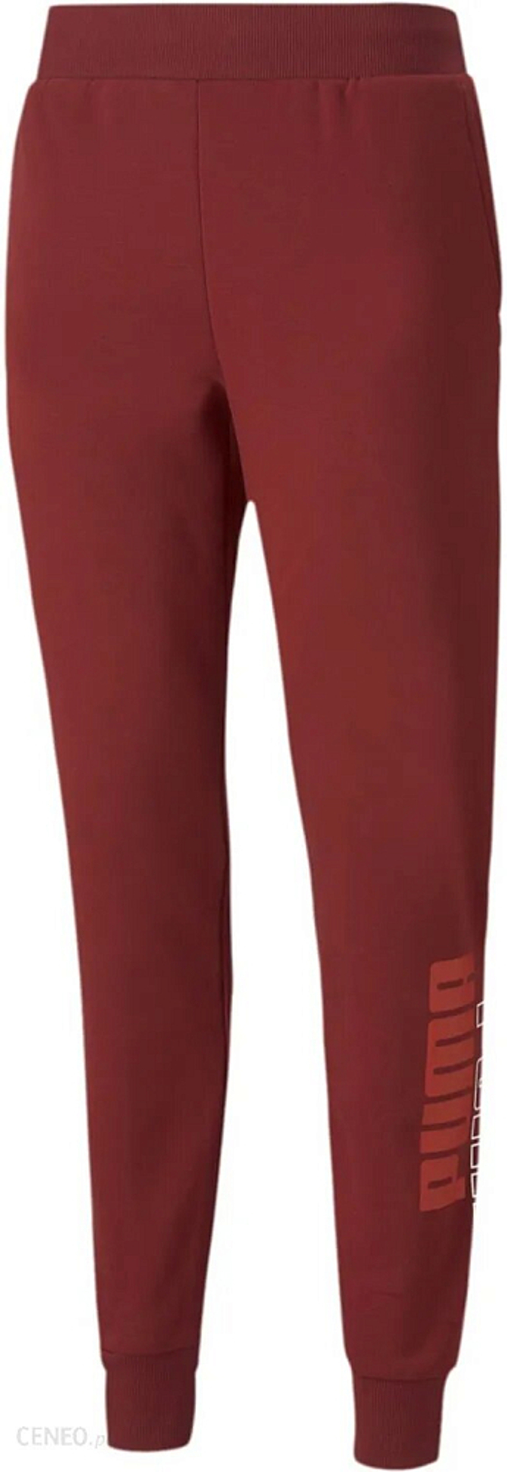 Мужские брюки PUMA PUMA POWER Sweat Pants