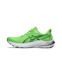 Мужские кроссовки ASICS GT-2000 12 'Electric Lime' 1011B691-300