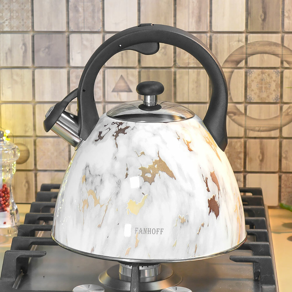 Чайник 3л нерж "Fanhoff" (95802)