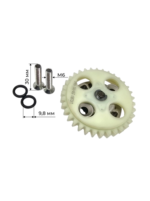 Насос масляный в сборе Минск SCR 250 500000319