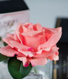 Персиковая роза ароматизированная в прозрачной вазе, Cote Noire