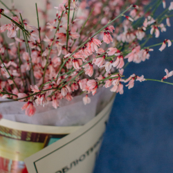 154. Весенний букет из ароматной генисты