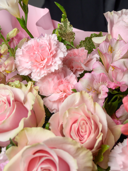 Розовая мечта *