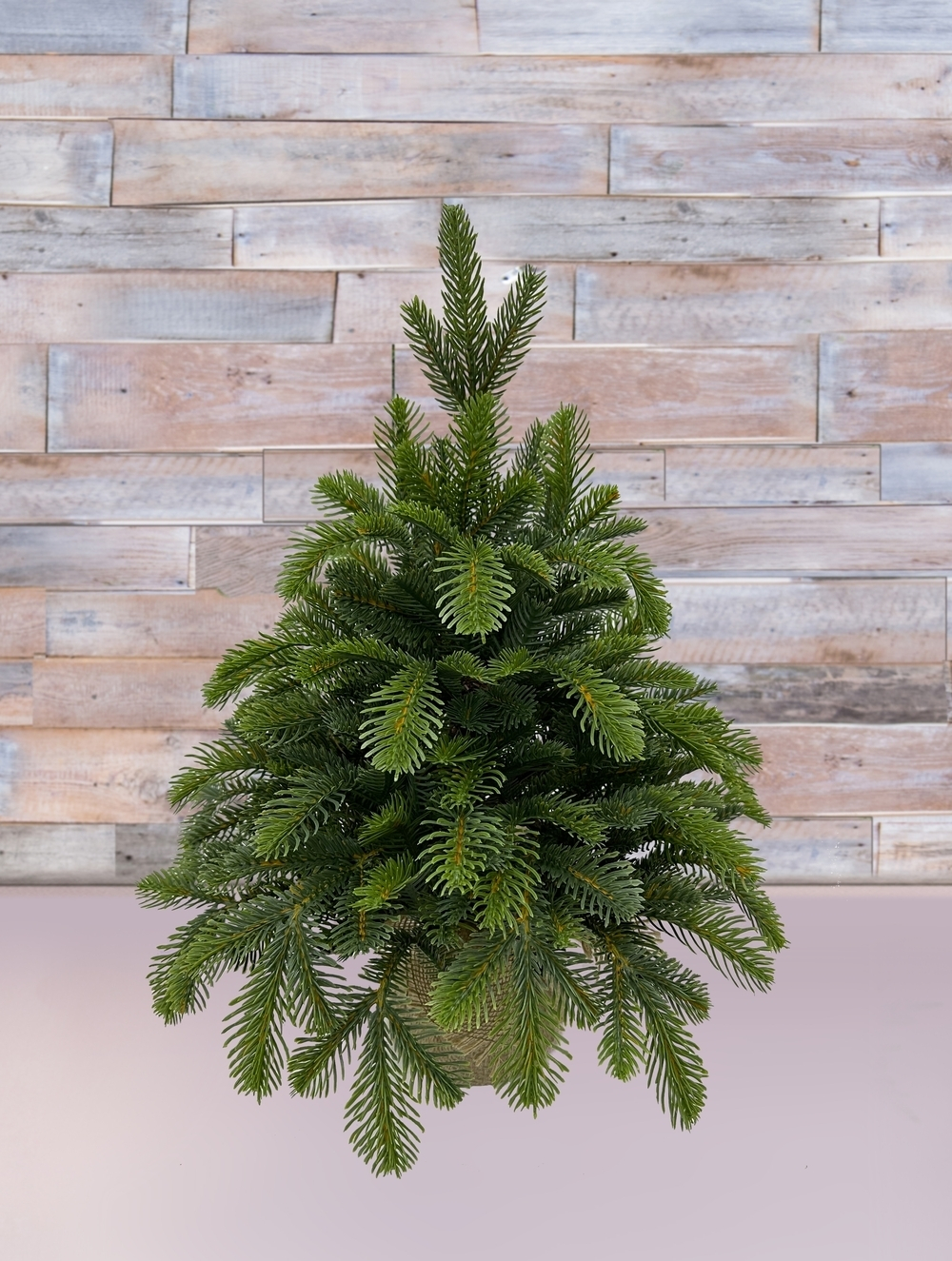 Ель таежная 45см Black Box зеленая