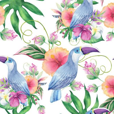 Тропические птицы