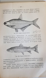 "Руководство зоологии. Для мужских средне-учебных заведений". Л. и В.Шимкевич. 1910 г.