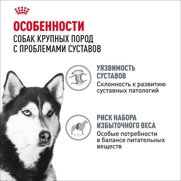 Сухой корм Royal Canin Maxi Joint Care для взрослых собак крупных размеров с повышенной чувствительностью суставов