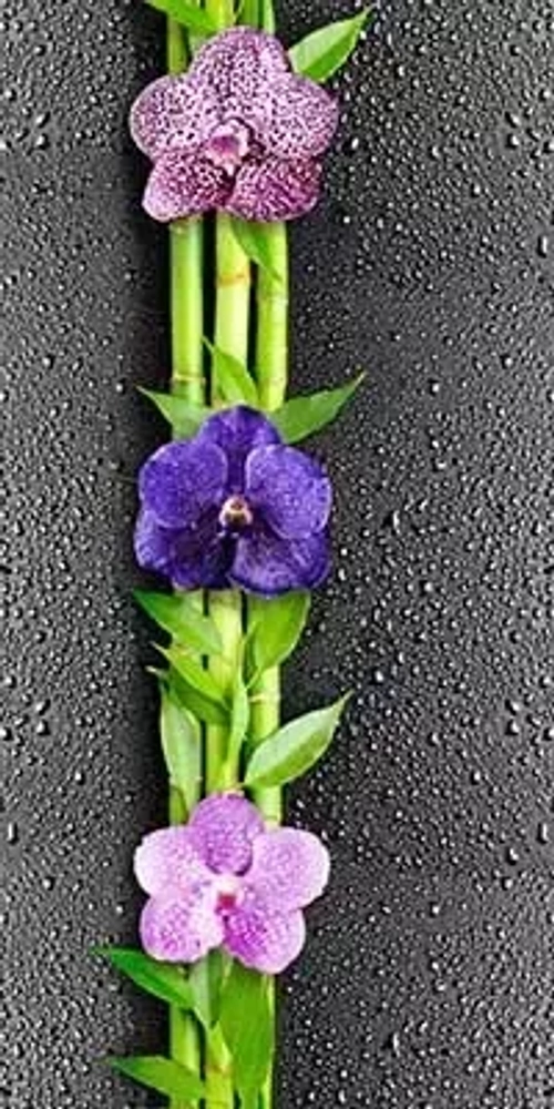 Панель ПВХ термопечать Орхидея 351 2700х250 мм