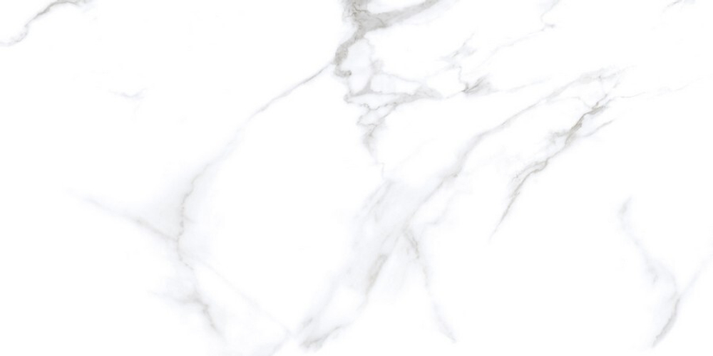 Neodom Classic Marble Statuario Chic Polished 60x120