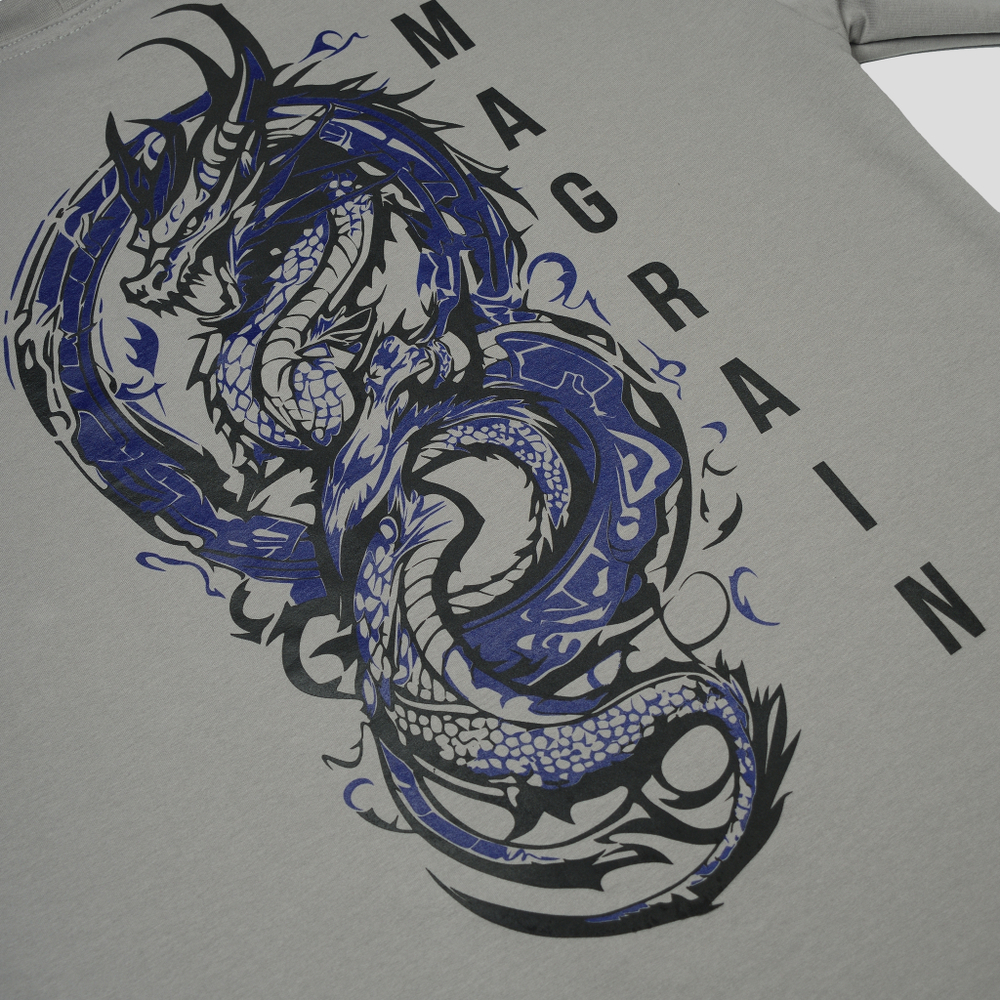 Футболка DRAGON
