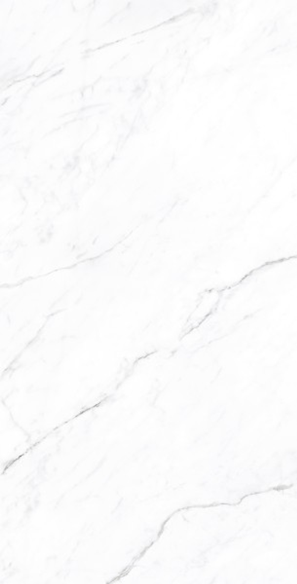 CORALINA WHITE CP4003-A