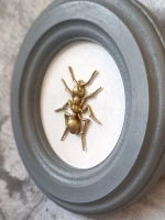 Панно 14 см. насекомые на стену для интерьера Муравей