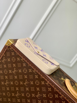 Louis Vuitton Felicie Pochette