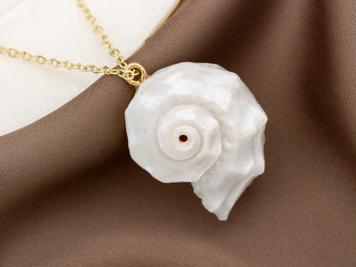 Ракушка подвески