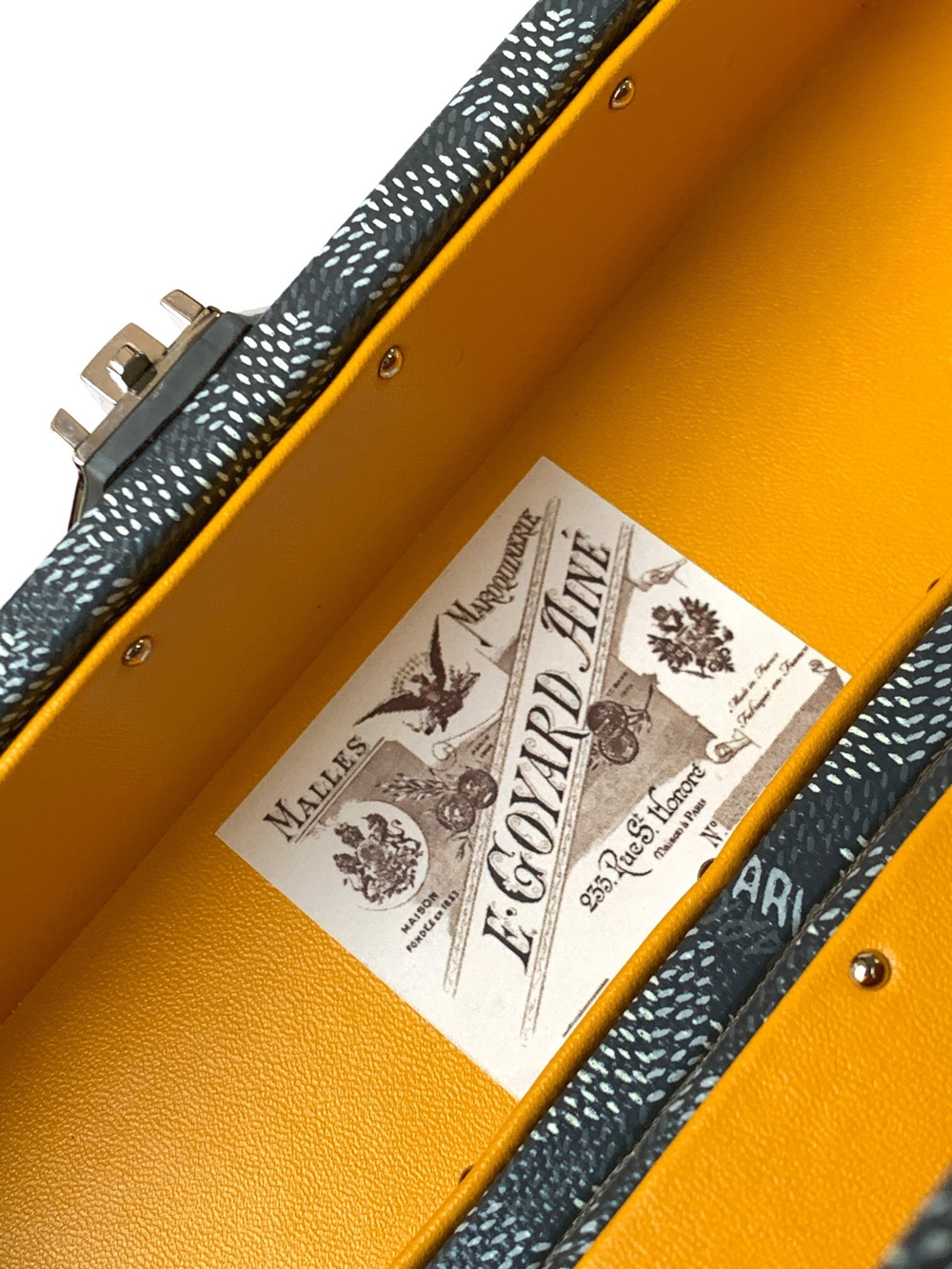 Goyard Cassette Trunk Bag