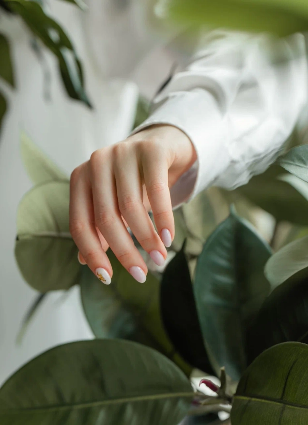 Ваши ногти – наша забота!