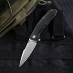 Нож туристический Bestech Warwolf сталь D2, рукоять G10 черная