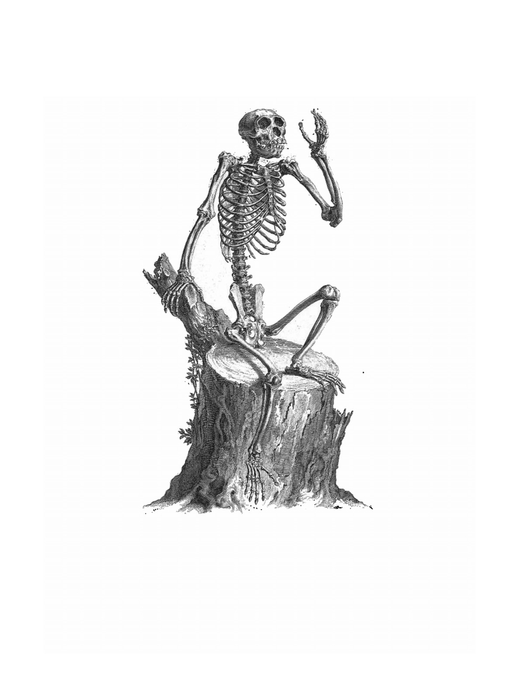 Osteographia, or the Anatomy of the Bones | William Cheselden