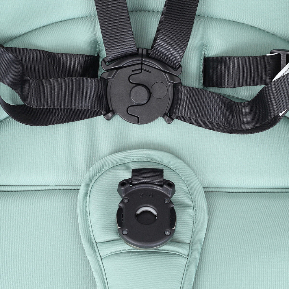 Детская коляска Rant Falcon 2 в 1 Green