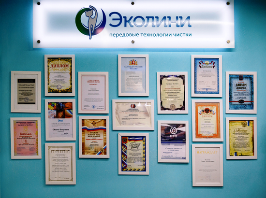 «ЭКОЛИНИ»: КОШКА КАК СИМВОЛ ЧИСТОТЫ