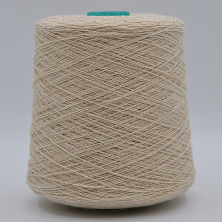 Botto Giuseppe Art. 2421