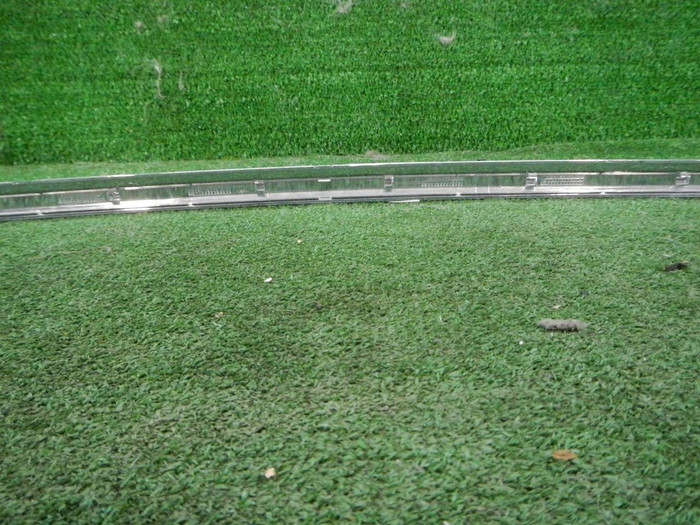 DSCN3800.JPG