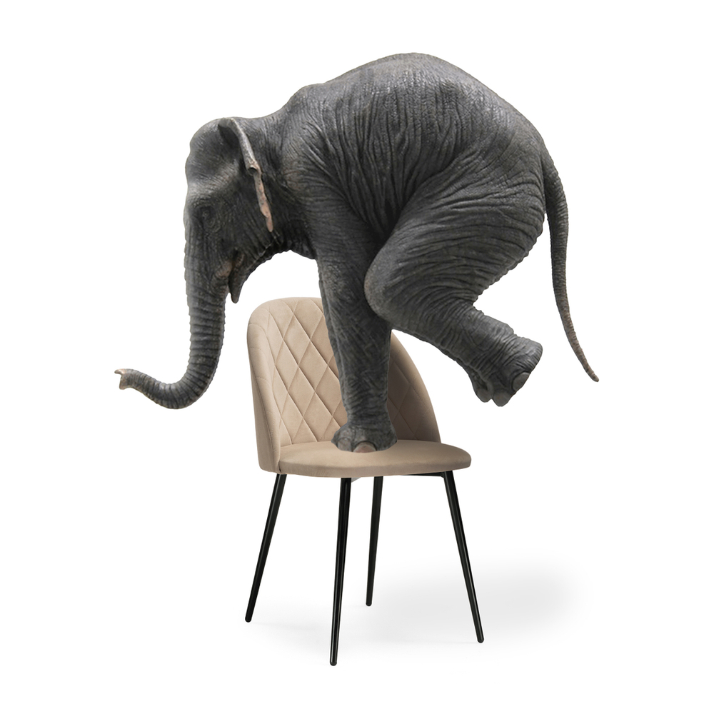 Стул на металлокаркасе Woodville Зест микровелюр 05, черный глянец, ножки черные