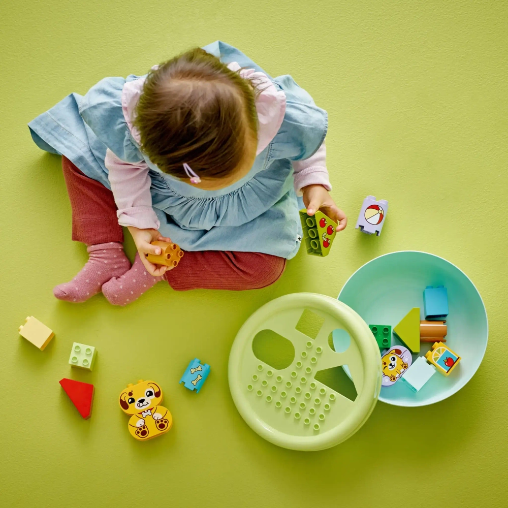 Конструктор LEGO Duplo 10441 Сортир Домик для щенков