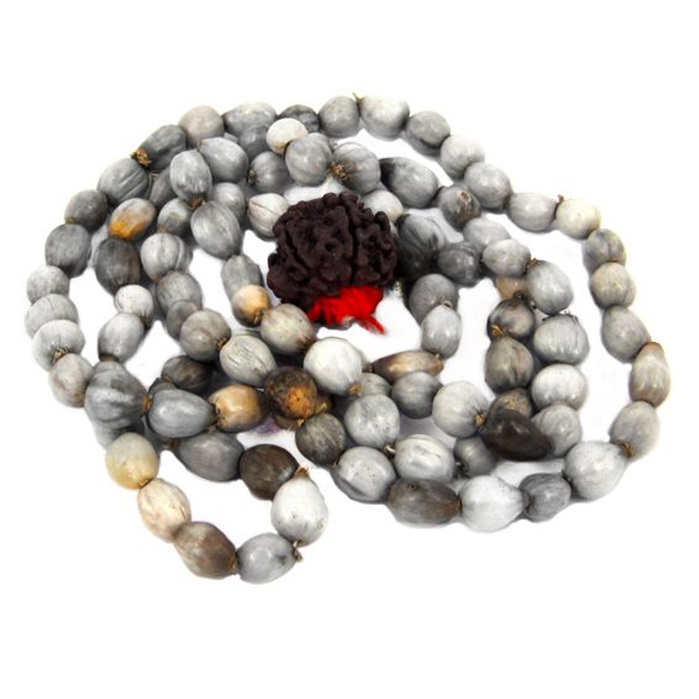 Чётки из семян дерева Ваянжати