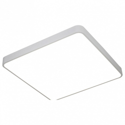 Накладной светильник Arte Lamp A2669PL-1WH