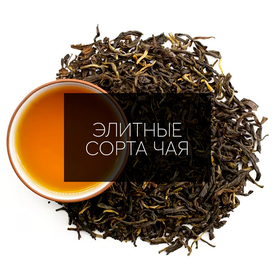 Элитные сорта чая: Путешествие в мир изысканных вкусов