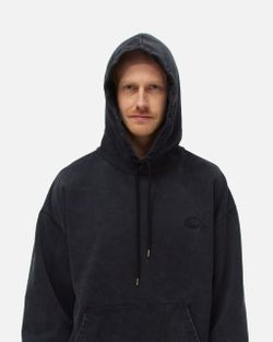 Толстовка ANTEATER Hoodie-Dark-Grey-acid