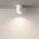 Потолочный светильник Technical C029CL-01W