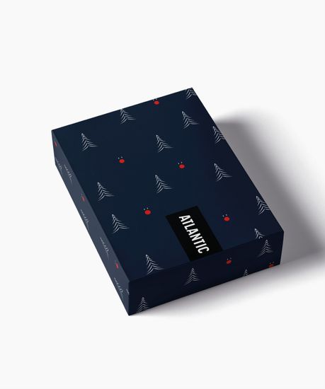 Трусы мужские боксеры (2шт) Atlantic 2GMH-027, хлопок, темно-синий