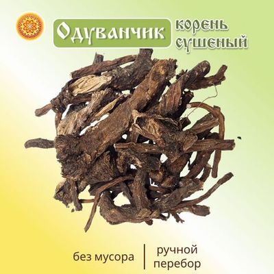 Одуванчика корень.