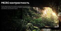 Телевизор Samsung MICROLED MS1 MNA89MS1BACXRU