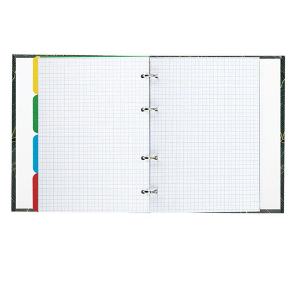 Тетрадь на кольцах А5 175х215 мм, 240 л., твердый картон, с разделителями, BRAUBERG, "Листья", 404099