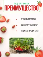 Подставка-опора под кусты клубники d29см *5шт