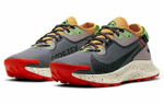 Кроссовки Nike Pegasus Trail 2 Gtx (Женская размерная сетка)